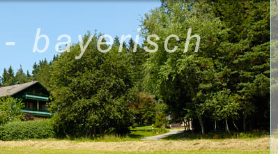 Viechtach im Bayerischen Wald